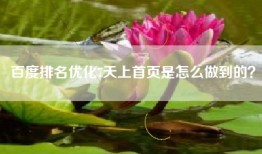 百度排名优化7天上首页是怎么做到的？