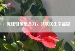 党建引领聚合力，共筑民生幸福里