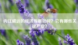 内江威远的经济发展如何？它有哪些关键产业？