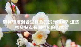 如何理解混合型基金的投资特点？这些投资特点有哪些风险因素？