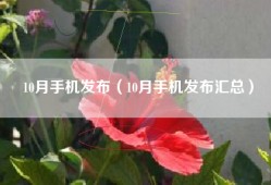 10月手机发布（10月手机发布汇总）