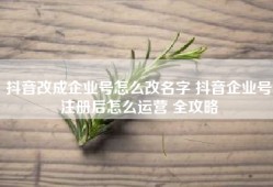 抖音改成企业号怎么改名字 抖音企业号注册后怎么运营 全攻略