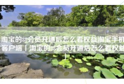 淘宝的88会员开通后怎么看权益淘宝手机客户端「淘宝的88会员开通后怎么看权益」