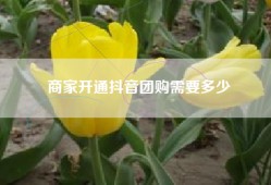 商家开通抖音团购需要多少