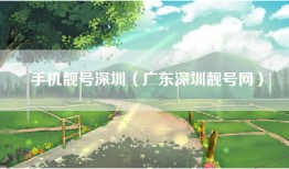 手机靓号深圳（广东深圳靓号网）