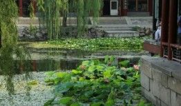 云南旅游的更佳旅行时间：探索淡季与旺季的完美搭配