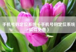 手机号码定位系统（手机号码定位系统软件免费）