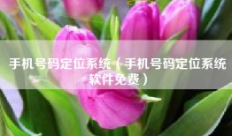 手机号码定位系统（手机号码定位系统软件免费）
