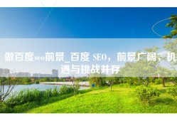 做百度seo前景_百度 SEO，前景广阔，机遇与挑战并存
