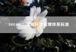 ISO14001：了解环境管理体系标准