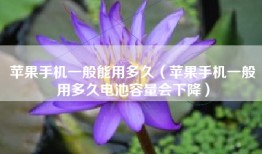 苹果手机一般能用多久（苹果手机一般用多久电池容量会下降）