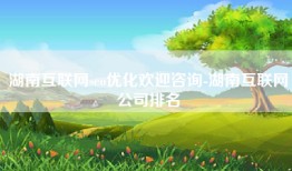 湖南互联网seo优化欢迎咨询-湖南互联网公司排名