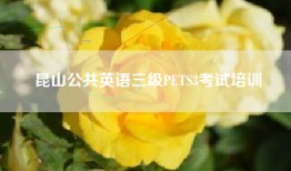 昆山公共英语三级PETS3考试培训