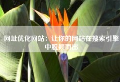 网址优化网站：让你的网站在搜索引擎中脱颖而出