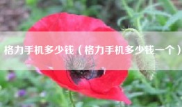 格力手机多少钱（格力手机多少钱一个）
