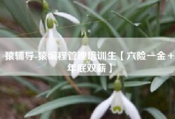 猿辅导-猿编程管理培训生【六险一金＋年底双薪】