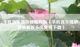 手机音乐播放器破解版（手机音乐播放器破解版永久免费下载）