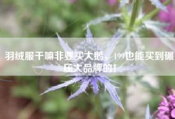 羽绒服干嘛非要买大鹅，199也能买到碾压大品牌的！