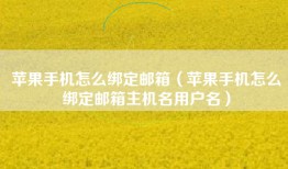 苹果手机怎么绑定邮箱（苹果手机怎么绑定邮箱主机名用户名）