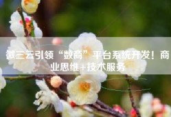 微三云引领“数商”平台系统开发！商业思维+技术服务