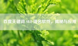 百度关键词 SEO 排名软件，揭秘与应用