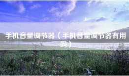 手机音量调节器（手机音量调节器有用吗）