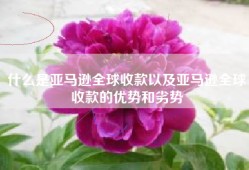 什么是亚马逊全球收款以及亚马逊全球收款的优势和劣势