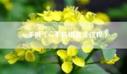 6x手机（6x手机组装全过程）