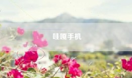 哇嘎手机