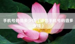 手机号码值多少钱（评估手机号码值多少钱）