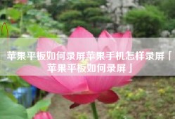 苹果平板如何录屏苹果手机怎样录屏「苹果平板如何录屏」
