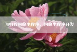 飞蚂蚁回收小程序，回收小程序开发