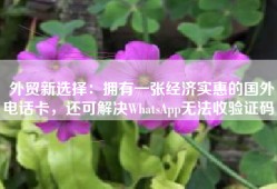外贸新选择：拥有一张经济实惠的国外电话卡，还可解决WhatsApp无法收验证码！