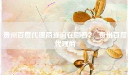 贵州百度代理商查询在哪看？_贵州百度代理商