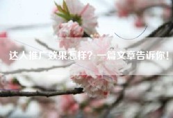 达人推广效果怎样？一篇文章告诉你！