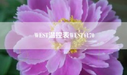 WEST温控表WEST6170