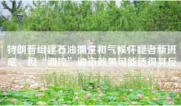 特朗普组建石油拥趸和气候怀疑者新班底，但“调控”油市效果可能适得其反