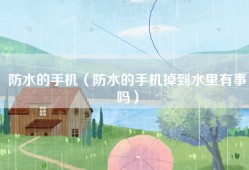 防水的手机（防水的手机掉到水里有事吗）