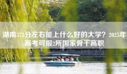 湖南373分左右能上什么好的大学？2025年高考可报2所国家骨干高职