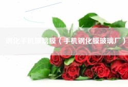 钢化手机玻璃膜（手机钢化膜玻璃厂）