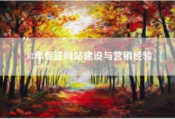 13年专注网站建设与营销经验