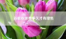 谷歌收录要多久才有排名