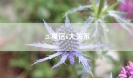 28星宿6大关系
