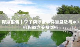 深度报告｜李子柒停更事件复盘及与MCN机构微念关系剖析
