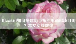 用vue3.0.1如何搭建仿京东的电商H5项目呢？本文实战教你
