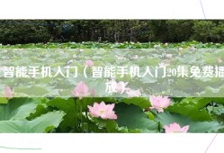 智能手机入门（智能手机入门20集免费播放）