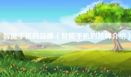 智能手机的品牌（智能手机的品牌介绍）