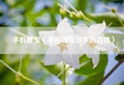 手机睡觉（手机睡觉放多远合适）