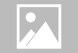 Coinbase Ventures   Animoca Brands（早期投资过$BERA $TON）等强势跟投