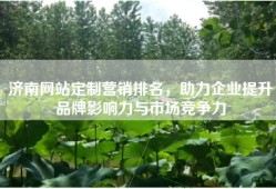 济南网站定制营销排名，助力企业提升品牌影响力与市场竞争力